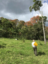 Load image into Gallery viewer, Colombia - Angel Ortega Washed
