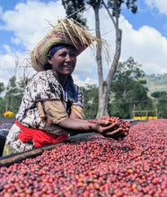 Load image into Gallery viewer, Ethiopia Sidamo Natural Organic