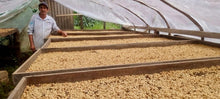 Load image into Gallery viewer, Peru - El Santuario Fairtrade Organic Washed